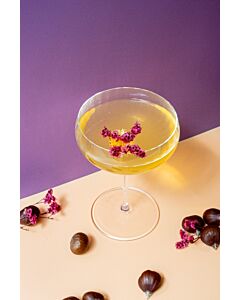 Cocktail Wonder Chestnut