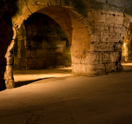Les caves des grands vins de Saumur Champigny : visites et dégustations