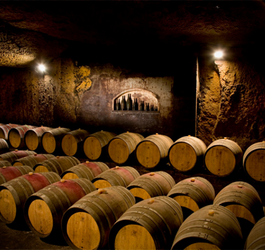 Les caves des grands vins de Bourgueil : visites et dégustations
